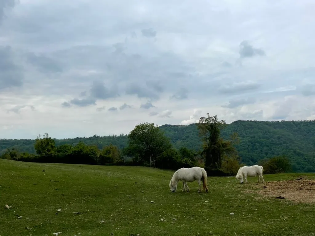 Ein mittelalterlicher Weiler in der Nähe