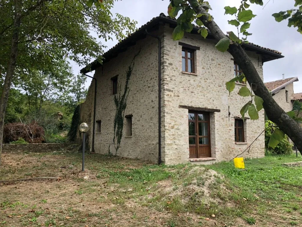 Das Gelände rund ums Haus, vor der Renovierung
